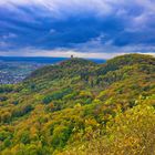 Herbstblick . . .