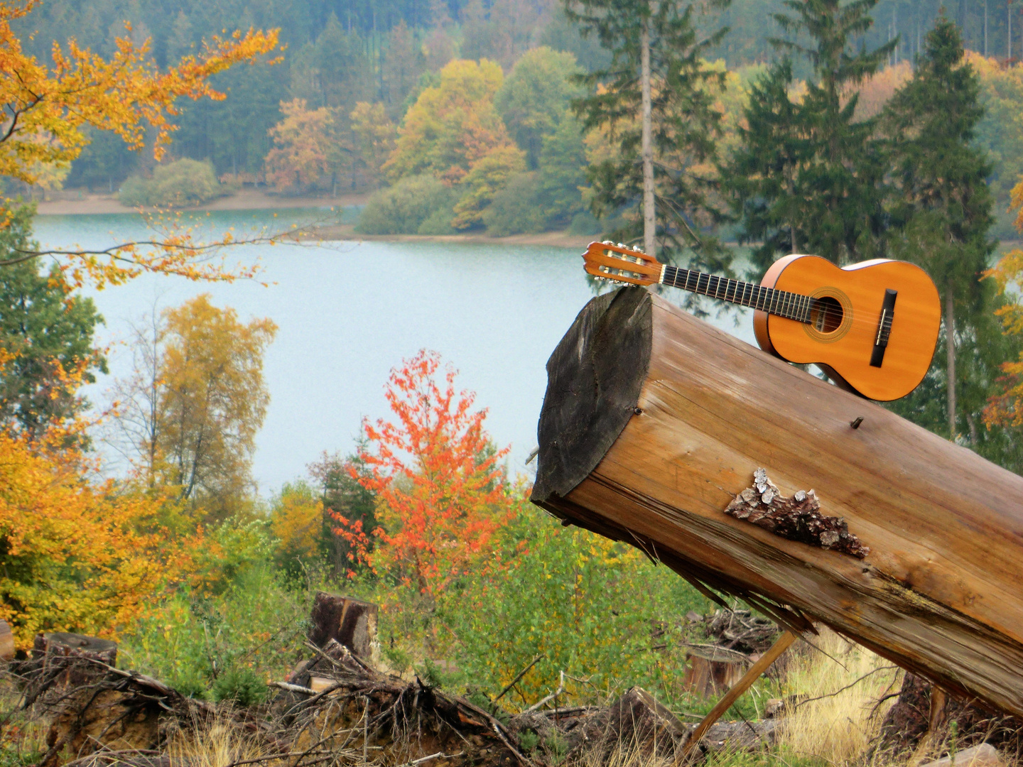 Herbstblick