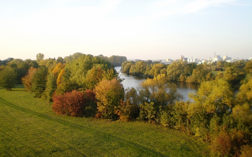 Herbst.Blick