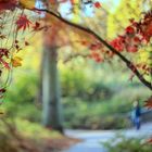 Herbstblick