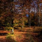 Herbstblick