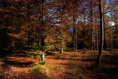 Herbstblick