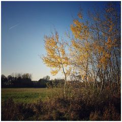 HerbstBlick