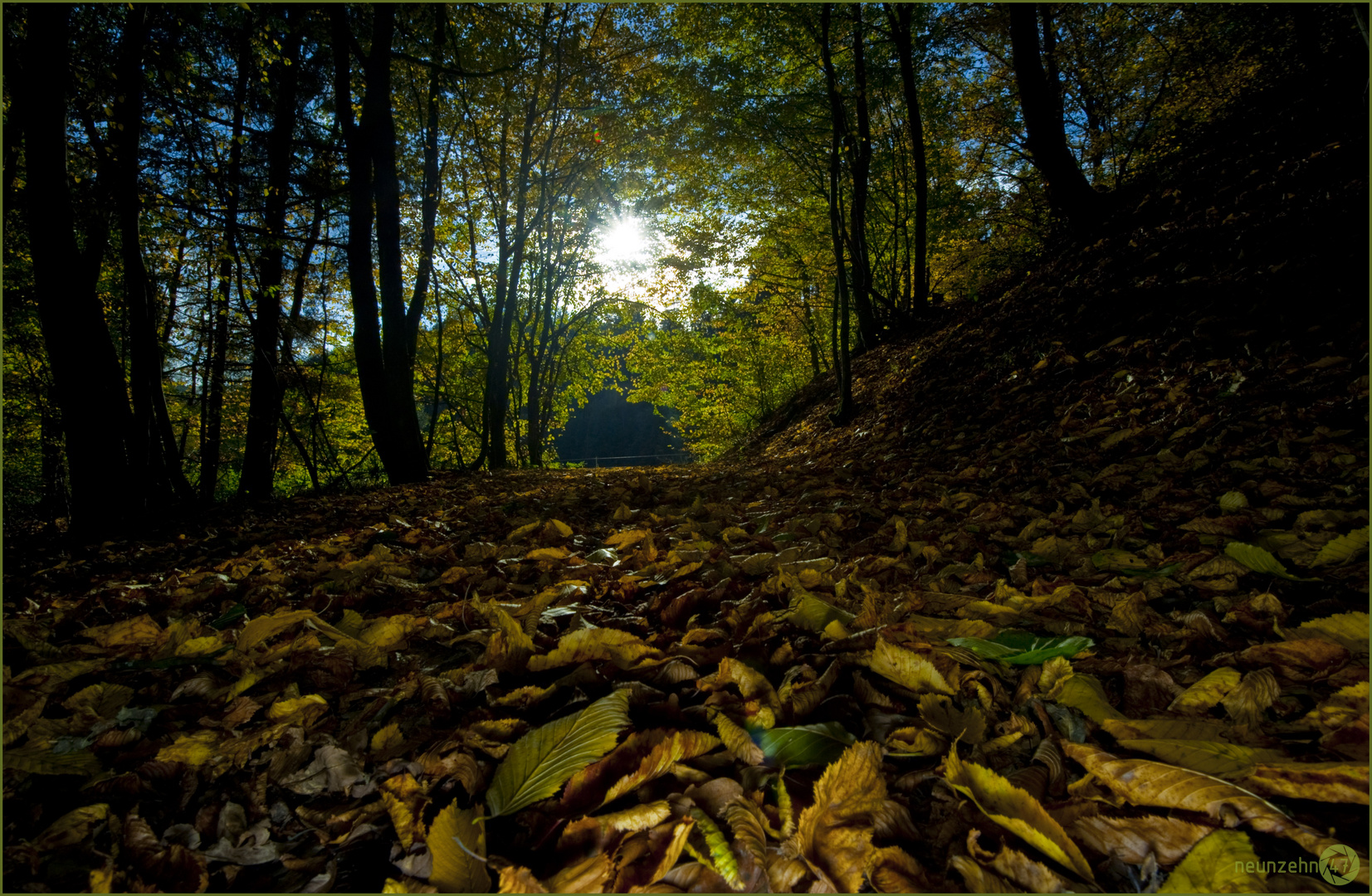 Herbstblick