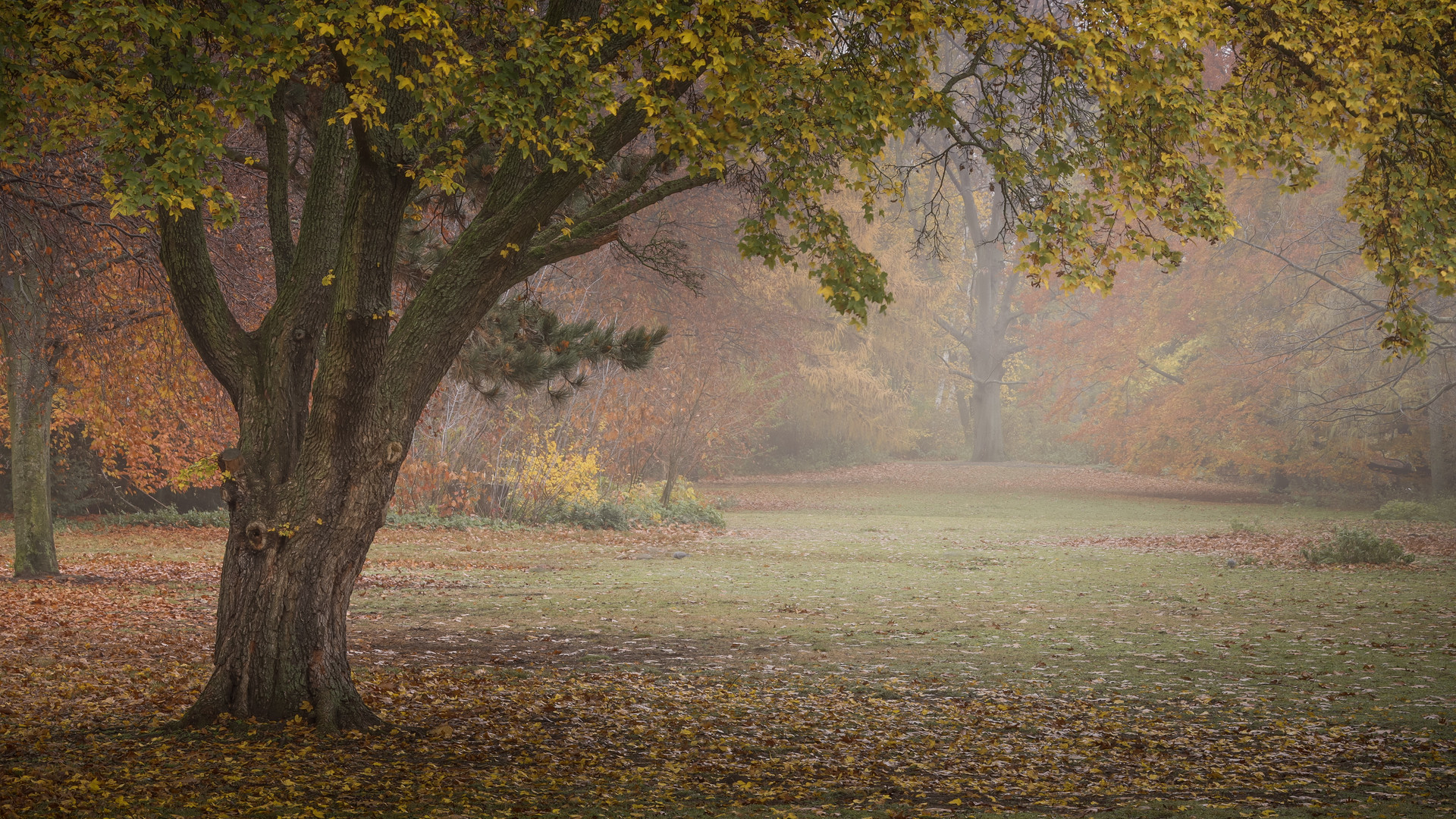 Herbstblick