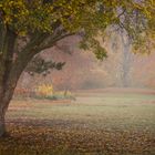 Herbstblick