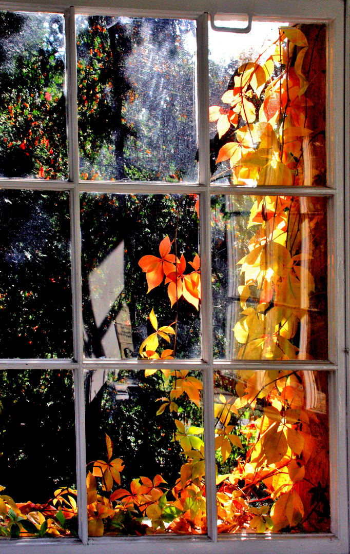 Herbstblick....