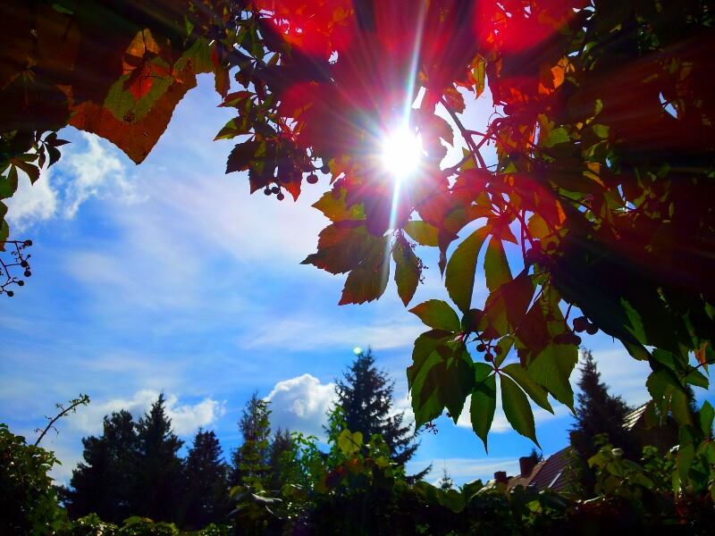 Herbstblick