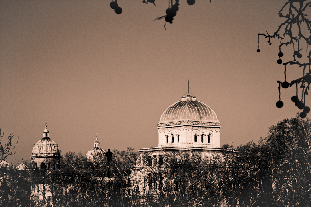 Herbstblick