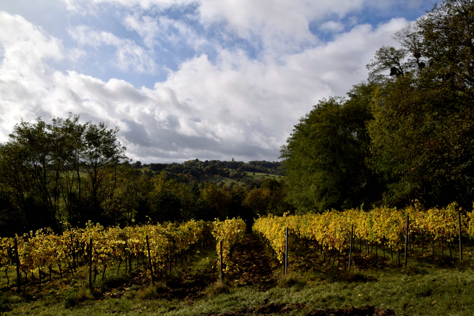 Herbstblick