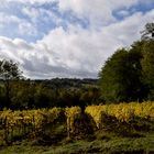 Herbstblick