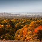 .HerbstBlick.