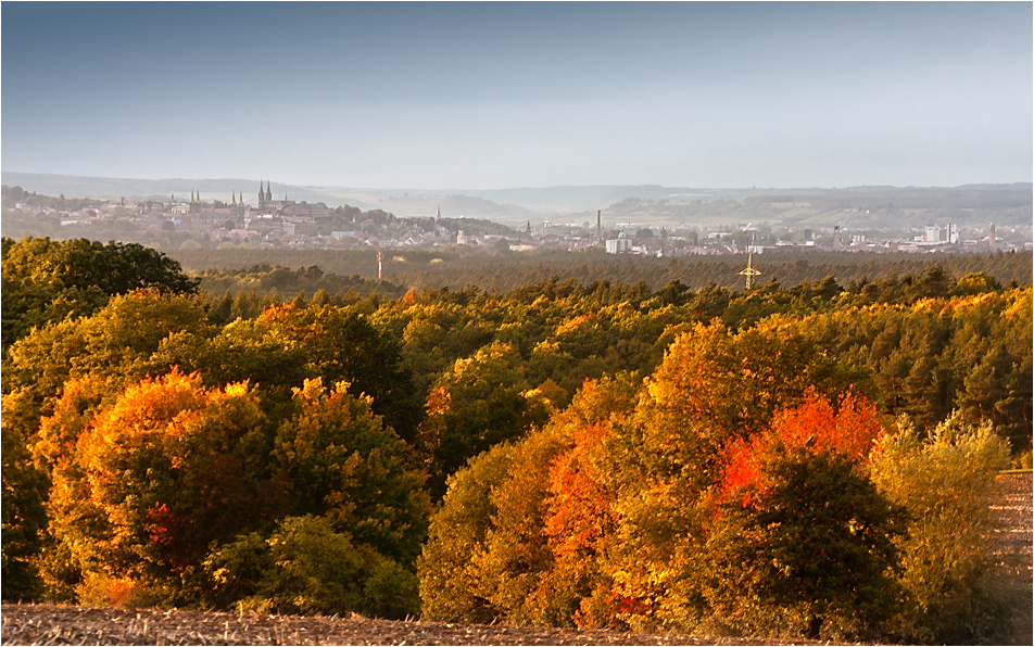 .HerbstBlick.