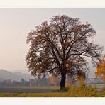 Herbstblick