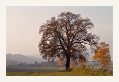 Herbstblick