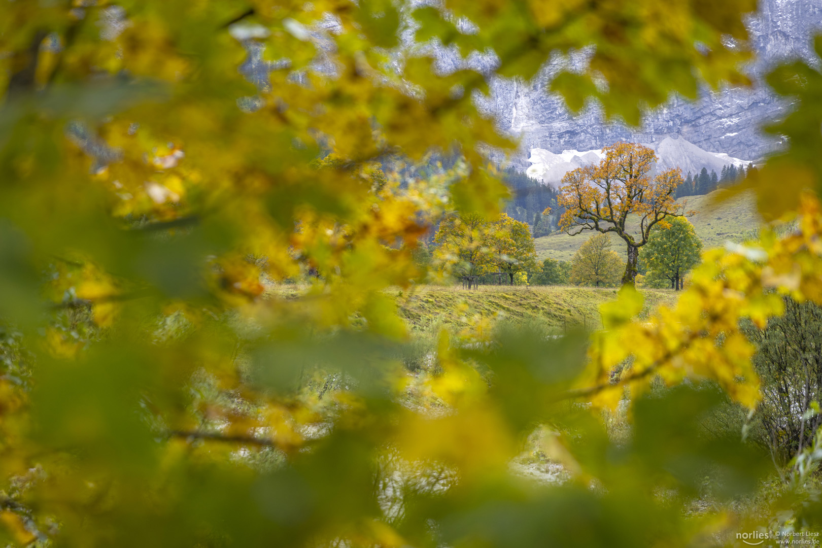 Herbstblick am Ahornboden