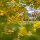 Herbstblick am Ahornboden