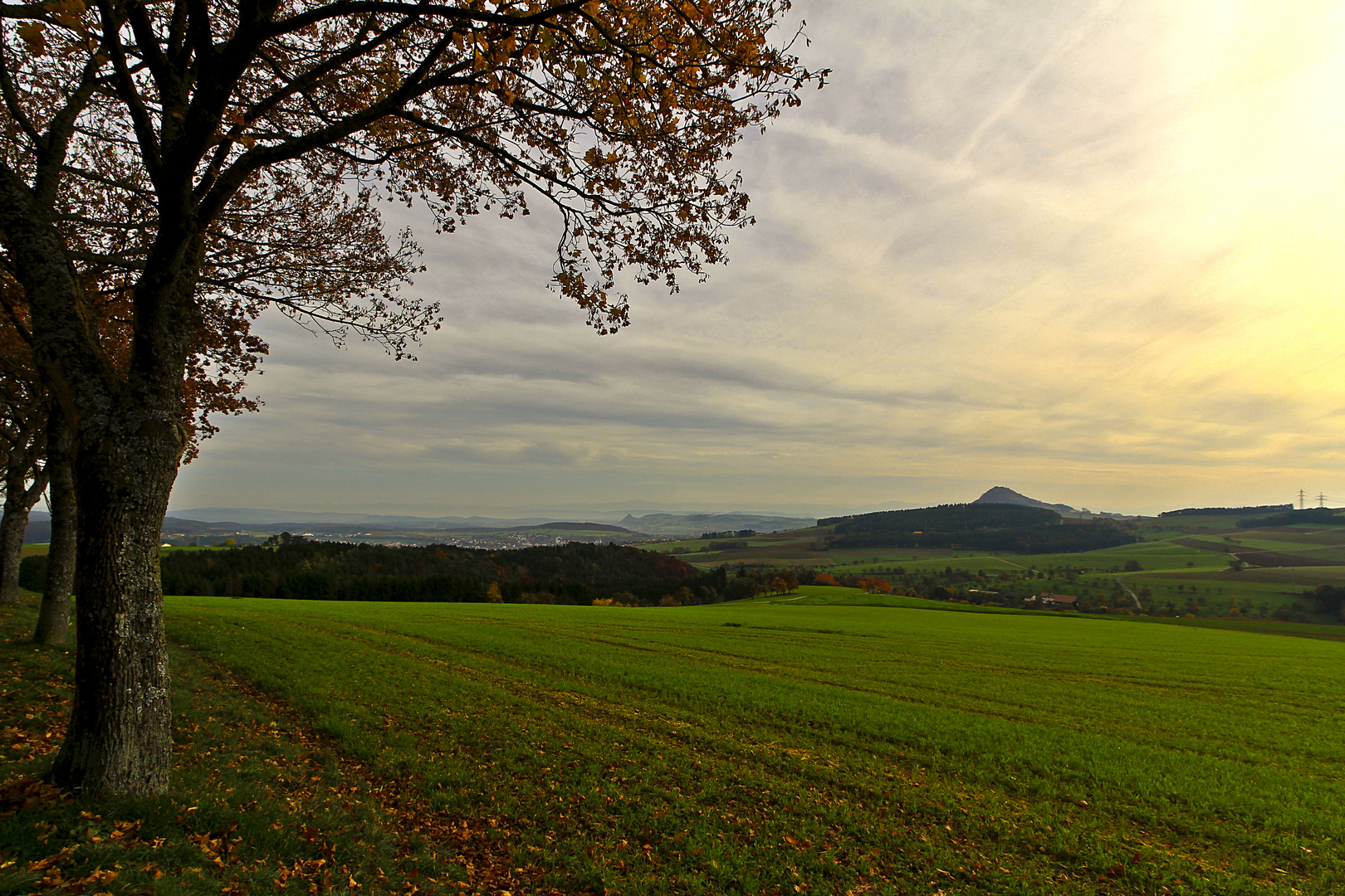 Herbstblick am Hegau
