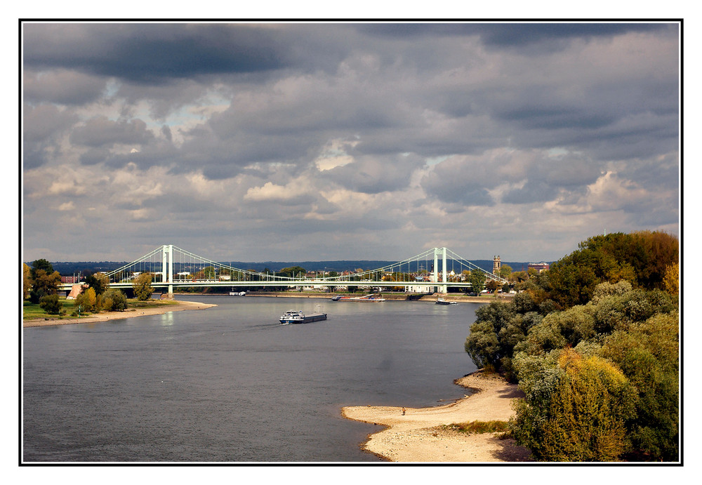 Herbstblick auf den Rhein mit Mühlheimer Brücke