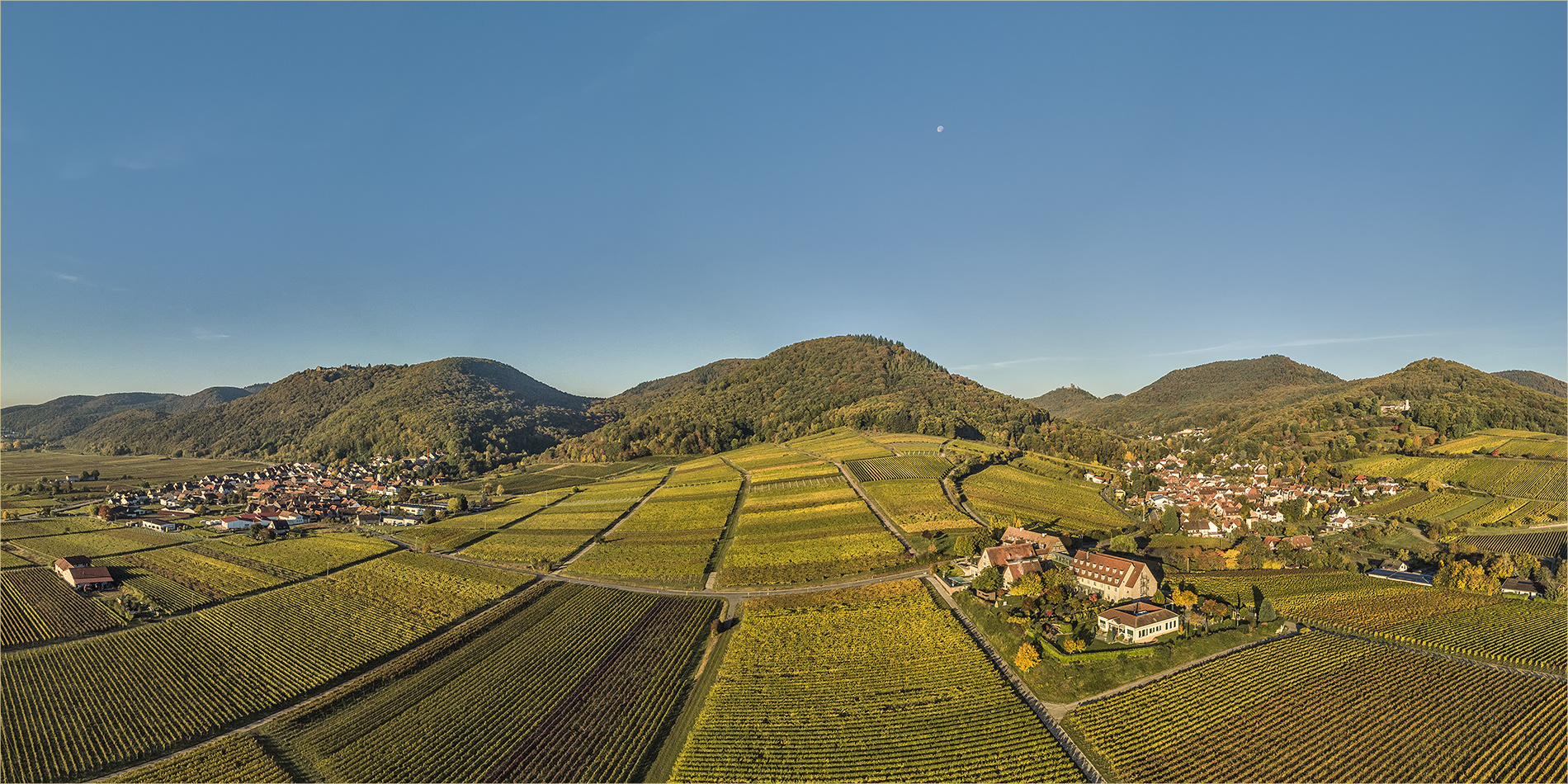 herbstblick auf die leinsweiler weinberge