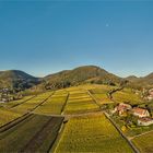 herbstblick auf die leinsweiler weinberge