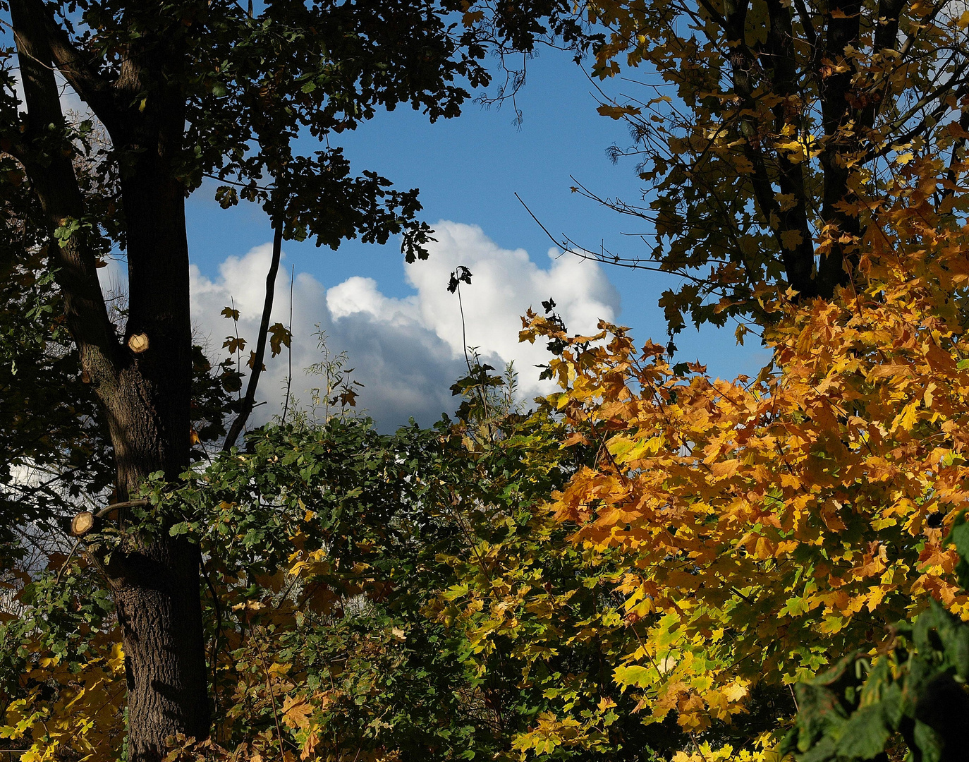 Herbstblick aus dem Küchenfenster