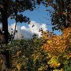 Herbstblick aus dem Küchenfenster