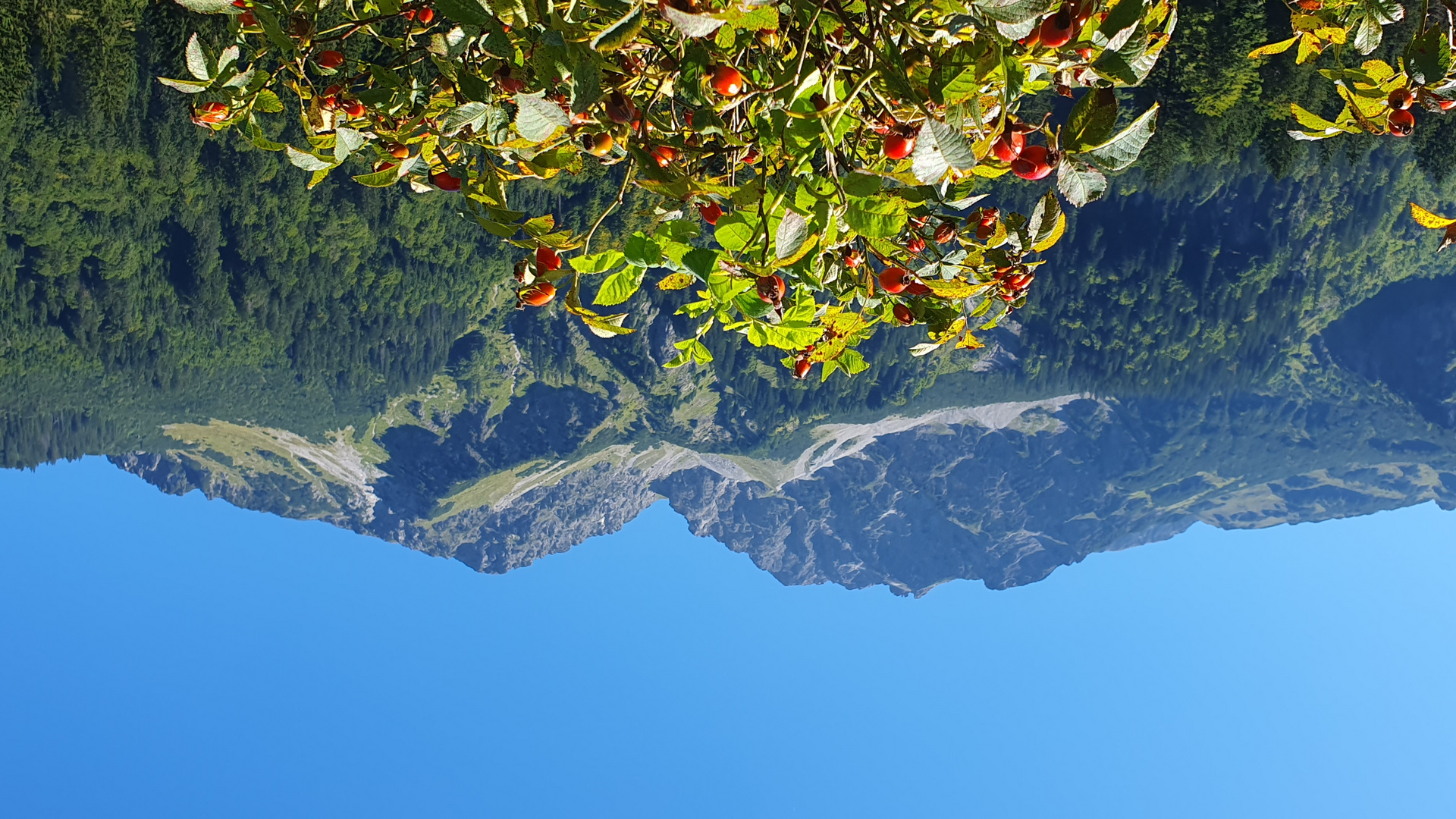 Herbstblick aus der Birgsau zum Griesgundkopf