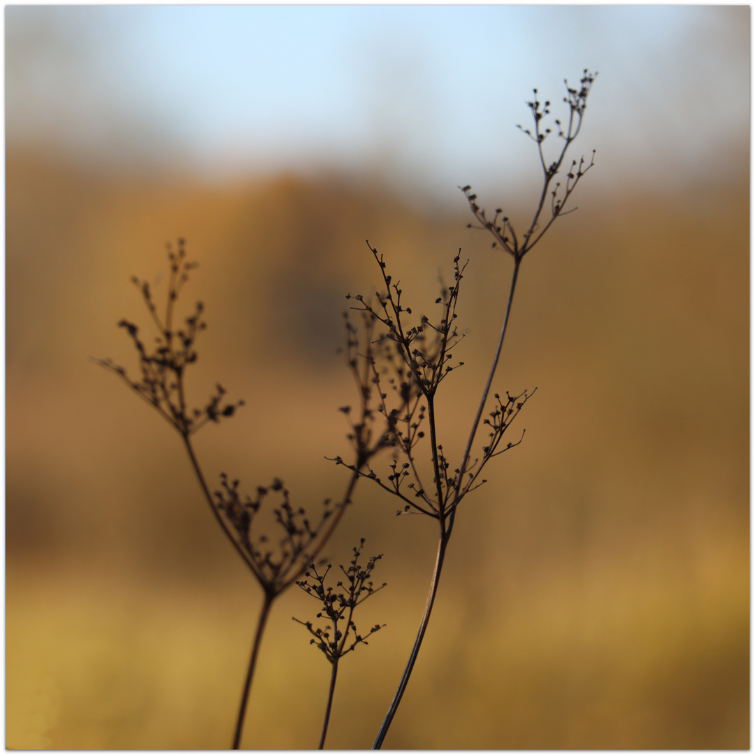 Herbstblick