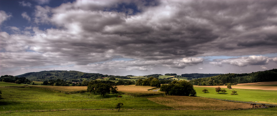 Herbstblick