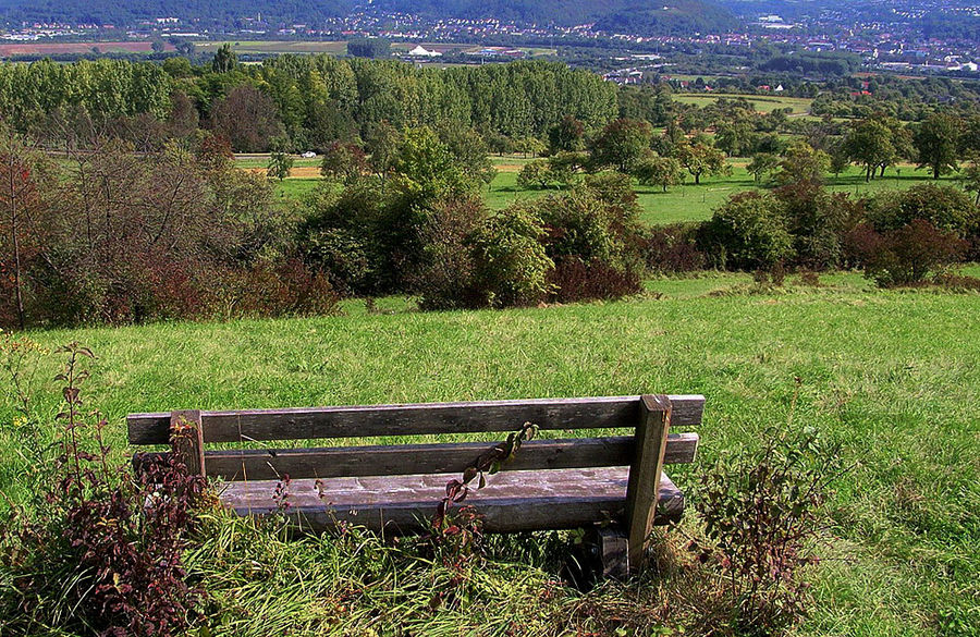 Herbstblick