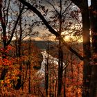 Herbstblick