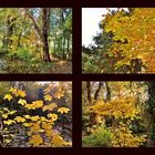 Herbstblick durch das Fenster