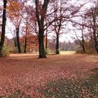 Herbstblick durch den Englischen Garten
