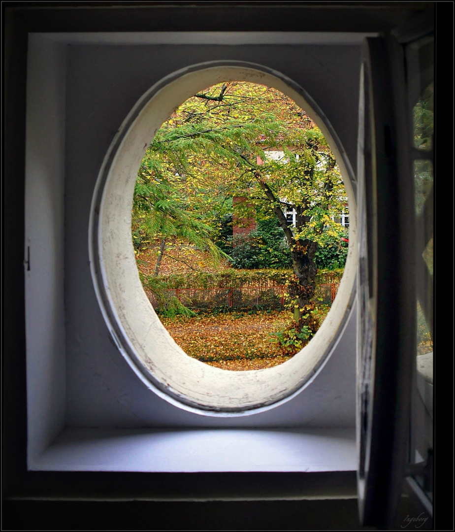 Herbstblick durch ein Dachfensterchen