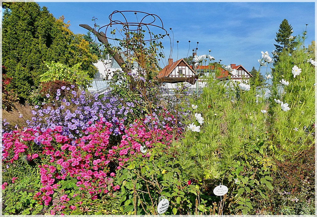 Herbstblick