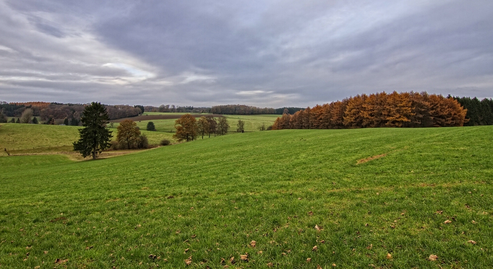 Herbstblick