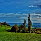 Herbstblick