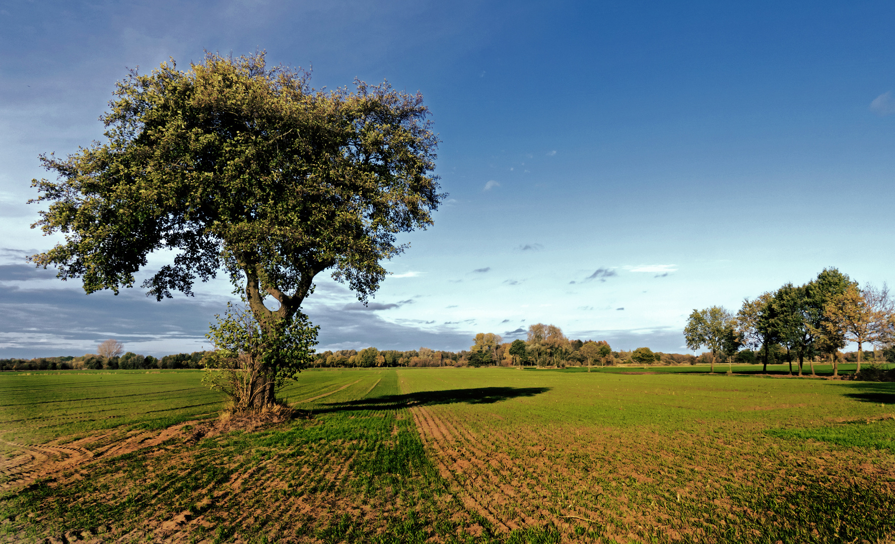 Herbstblick