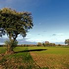 Herbstblick