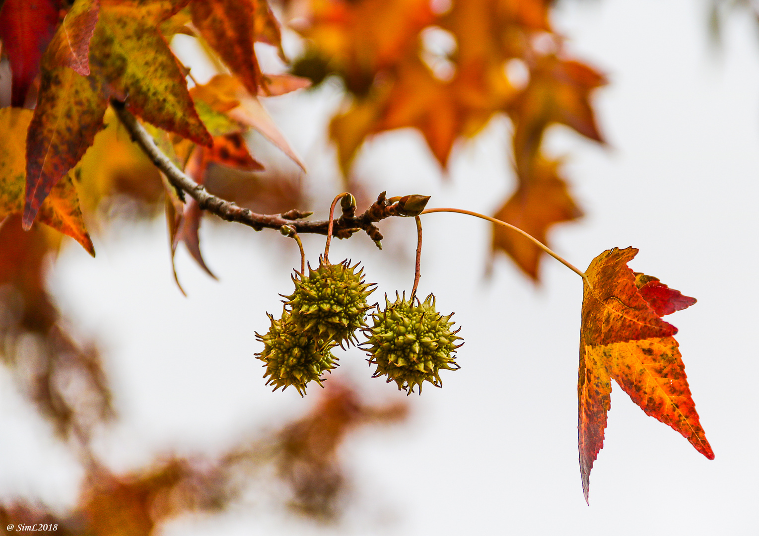 Herbstblick