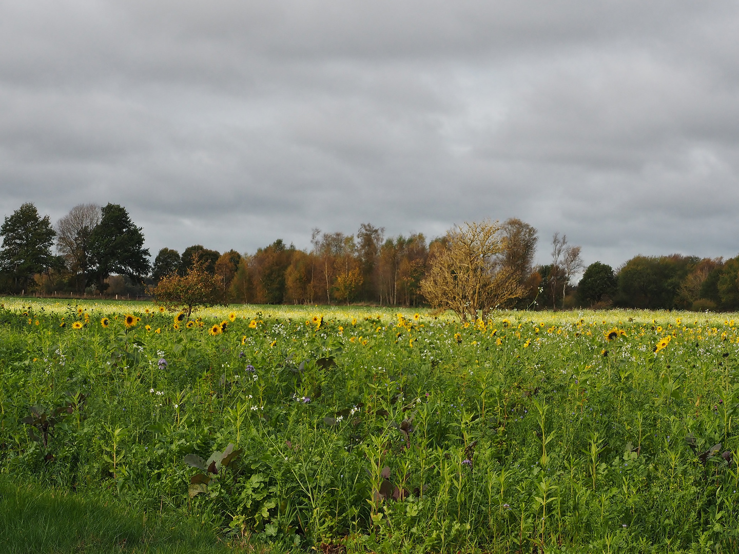 Herbstblick.....