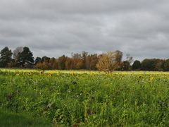 Herbstblick.....