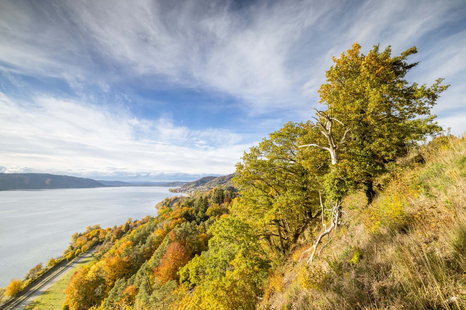 Herbstblick