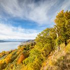 Herbstblick