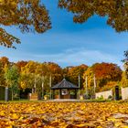 Herbstblick im Botanischen Garten