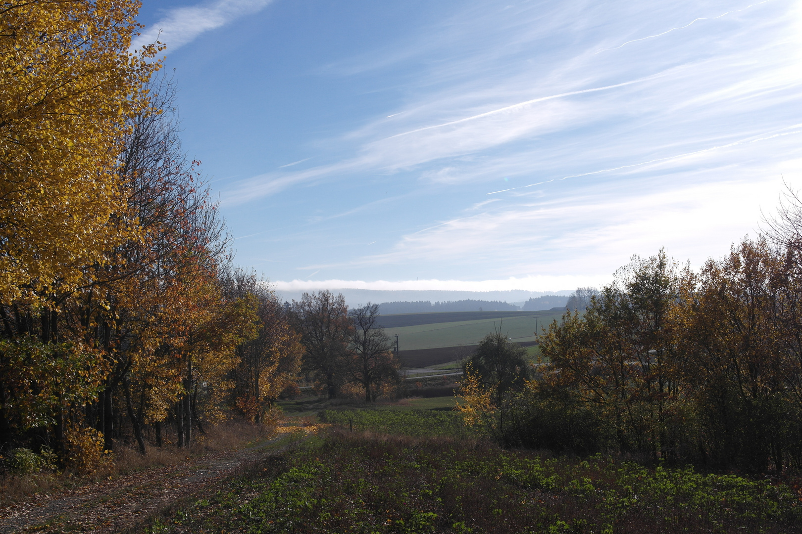 Herbstblick ins Fichtelgebirge Richtung Schneeberg 6.11.18