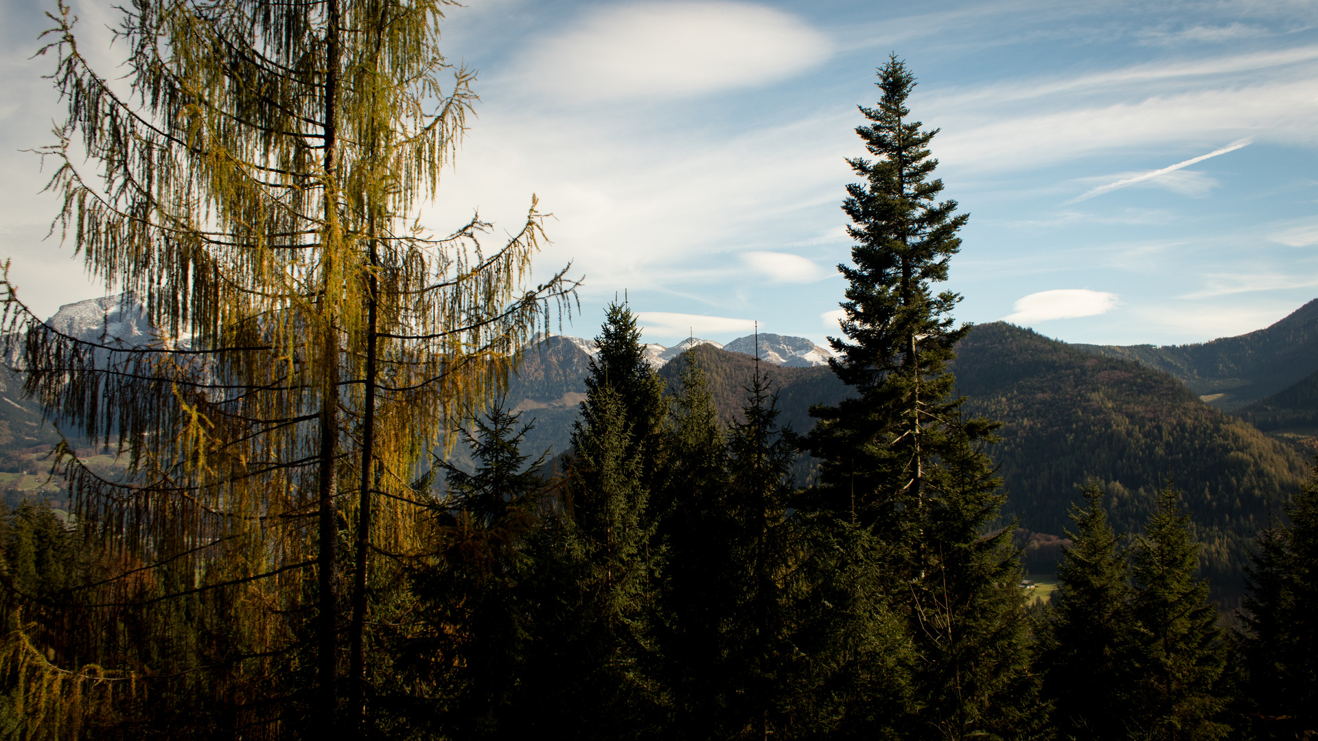 Herbstblick Nr.05