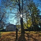 Herbstblick Schlosspark Tannefeld 