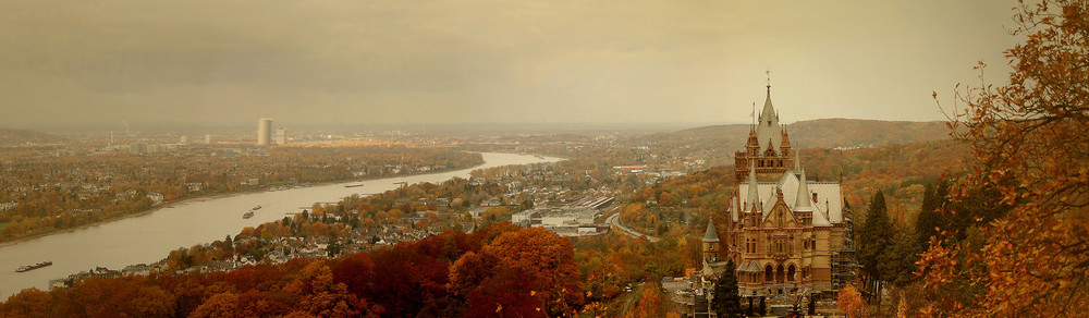 Herbstblick vom Drachenfels.